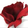 4.5" Red Rose Silk Flower Hair Comb view 3