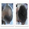Caboki Hair Loss Concealer (All-Natural Hair Building Fibers) Travel Size. (Dark Gray) view 3