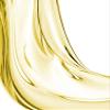Leonor Greyl L'Huile Pre-Shampoo Treatment for Hair | Hair Oil Treatment for Dry Hair, Protection from the Sun and Water, 0.84 FL OZ, Made In France view 3