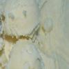 3CAYG Mango Butter All Natural 1LB Body Butter Lotion- Great for Soap Making-Naturally Refined view 2