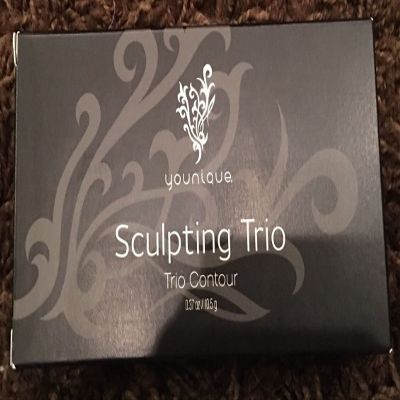 ENET Components, Inc. YOUNIQUE Brand Sculpting Contour Trio - in Light