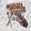 Genuine Surf Tumbled Brown Sea Glass Hair Clip Set - Includes 2 Hair Combs, 1 60 mm French Barrette, 2 Hair Pins view 2