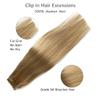 Labetti Clip in Human Hair Extensions with Blonde Highlights 7 Pieces 70g Silky Straight Weft Remy Real Hair (20 inches, #27-613) view 3