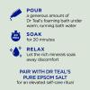 Dr Teal's Foaming Bath (Epsom Salt), Eucalyptus Spearmint, 34 Fluid Ounce view 4