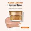 SKINFOOD Salmon Dark Circle Concealer Cream - Under Eye Concealer for Dark Spots and Wrinkles - Full Coverage - Stocking Stuffers, 0.35 Oz/10 g (Salmon Beige) view 2