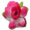 Hawaii Luau Party Artificial Fabric Gardenia Hair Clips Hot Pink Edge 4 Pack view 1