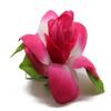Hawaii Luau Party Artificial Fabric Gardenia Hair Clips Hot Pink Edge 4 Pack view 2
