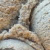 Exotic Coconut Polish view 2
