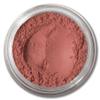 Pure Minerals Foundation Loose Powder 8g Sifter Jar- Choose Color,free of Harmful Ingredients (Compare to Bare Minerals Matte and Original or Mac Makeup) Gift Set (Golden Medium Matte Foundation) view 3