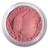Pure Minerals Foundation Loose Powder 8g Sifter Jar- Choose Color,free of Harmful Ingredients (Compare to Bare Minerals Matte and Original or Mac Makeup) Gift Set (Medium Beige Matte Foundation) view 2