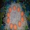 Bath Bombs view 2