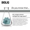 Bioliq - Clean Anti-Wrinkle Facial Cleansing Gel with Marigold Extract and Hyaluronic Acid - Hydration, Wrinkle Prevention, Skin Firming - 125 ml view 2