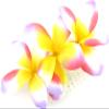 Triple Multicolored Plumeria Silk Flower Hair Comb view 1
