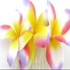 Triple Multicolored Plumeria Silk Flower Hair Comb view 2