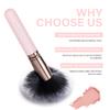 SIXPLUS Travel Makeup Brushes with Case, 15 Pcs Pink Makeup Brush Set Professional for Foundation Powder Concealer Eyeshadow Blush, Covers, Best Make Up Brush Kit Gift for Women Girlfriend Mom view 3