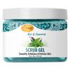 SPA REDI  Exfoliating Scrub Pumice Gel, Mint and Eucalyptus, 16 oz - Manicure, Pedicure and Body Exfoliator Infused with Hyaluronic Acid, Amino Acids, Panthenol and Comfrey Extract view 1