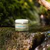 ANNEMARIE BRLIND - AQUANATURE Rehydrating Night Cream - Papyrus and Glasswort Extracts for Lasting Hydration - Nourishes, Regenerates, Rehydrates - 1.69 Fl Oz view 4