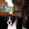 Cowboy Magic Rosewater Shampoo + Conditioner 16 Ounce Each view 4