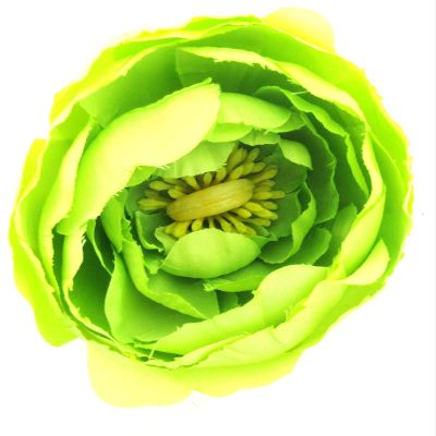 2 1/2" Lime Ranunculus Silk Flower Hair Comb