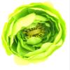 2 1/2" Lime Ranunculus Silk Flower Hair Comb view 1