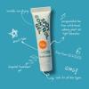 31st State Spot Control Gel - Acne Treatment, Reduces Redness - Clear Gel, Quick-Dry - Vegan, Gluten-Free, Paraben-Free and SLS/SLES-Free - 15ml view 3