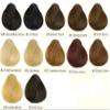 Lace Closure 5x5 Body Wavy Lace Piece Bleached Knots Closure Free Part Malaysian Human Hair (14"Free Prat, 1# Jet Black) view 4