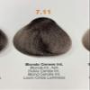 GenUs 7.11 view 1