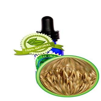 1 fl oz (30ml) Oat (Avena Sativa) Oil - Virgin - Nourishing Anti-Aging Rejuvenating for Dry Mature Problem Skin