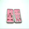6 pcs Fancy Manicure Set (Pink) view 1