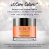 SNS Nails Dipping Powder Gelous Color - 391-1oz view 2