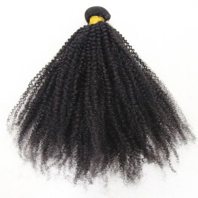 ZigZag Hair Afro Kinky Curly Hair Brazilian Virgin Hair Weave Bundles 4B 4C 100% Human Hair Bundles One Piece Double Weft Hair Extension (24inch)
