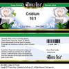 Bianca Rosa Cnidium 10:1 Cream (2 oz, ZIN: 519807) - 3 Pack view 3