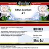 Bianca Rosa Citrus Arantium 4:1 Salve (2 oz, ZIN: 519773) - 3 Pack view 3