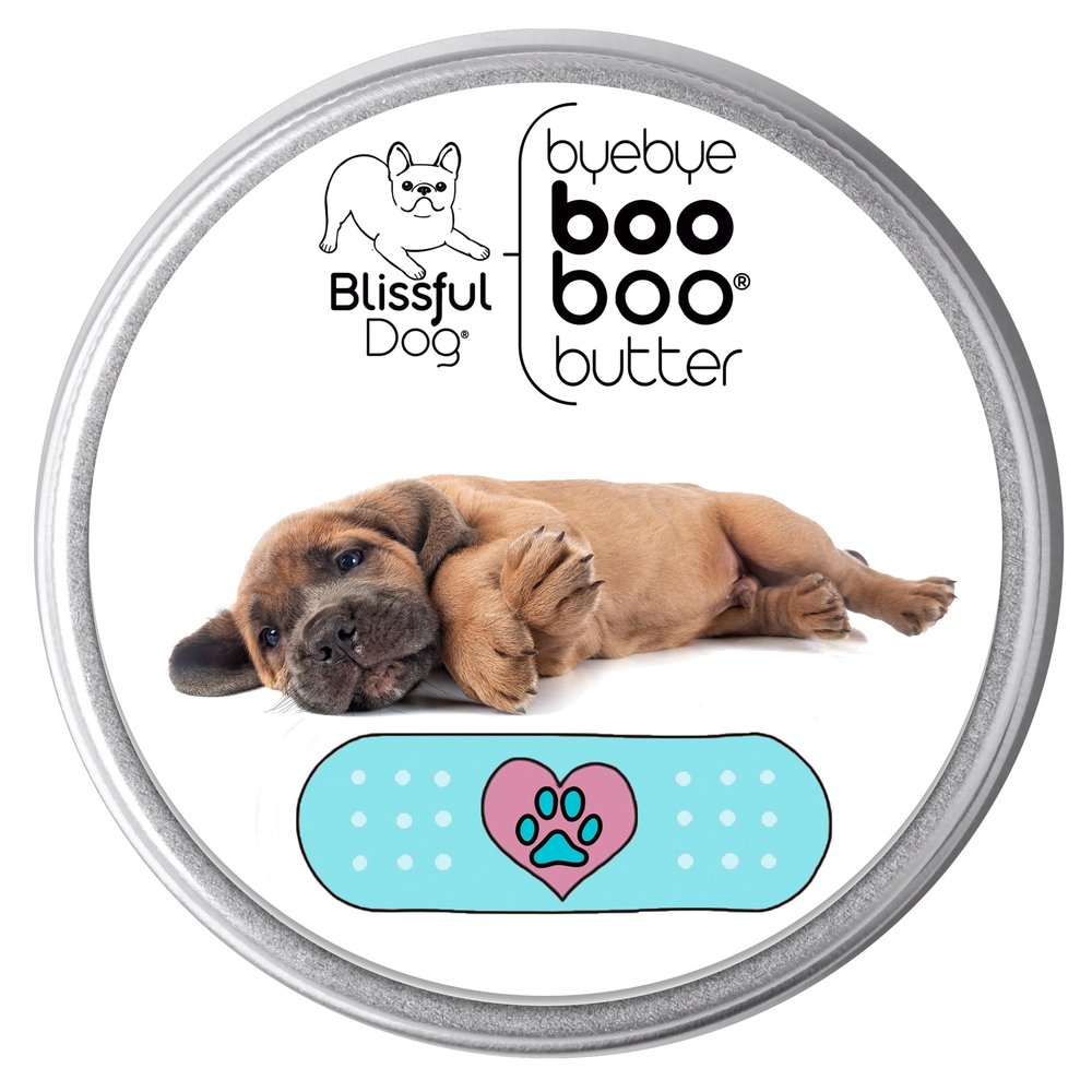 The Blissful Dog Cane Corso Boo Boo Butter, 4-Ounce