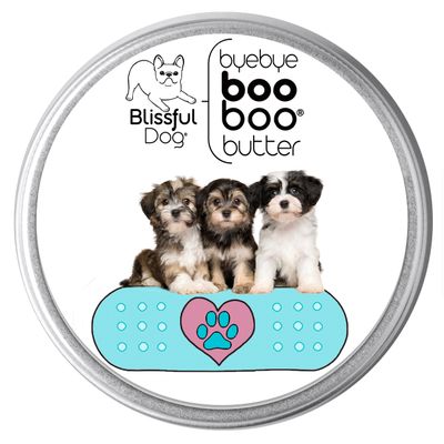 The Blissful Dog Havanese Boo Boo Butter, 1-Ounce
