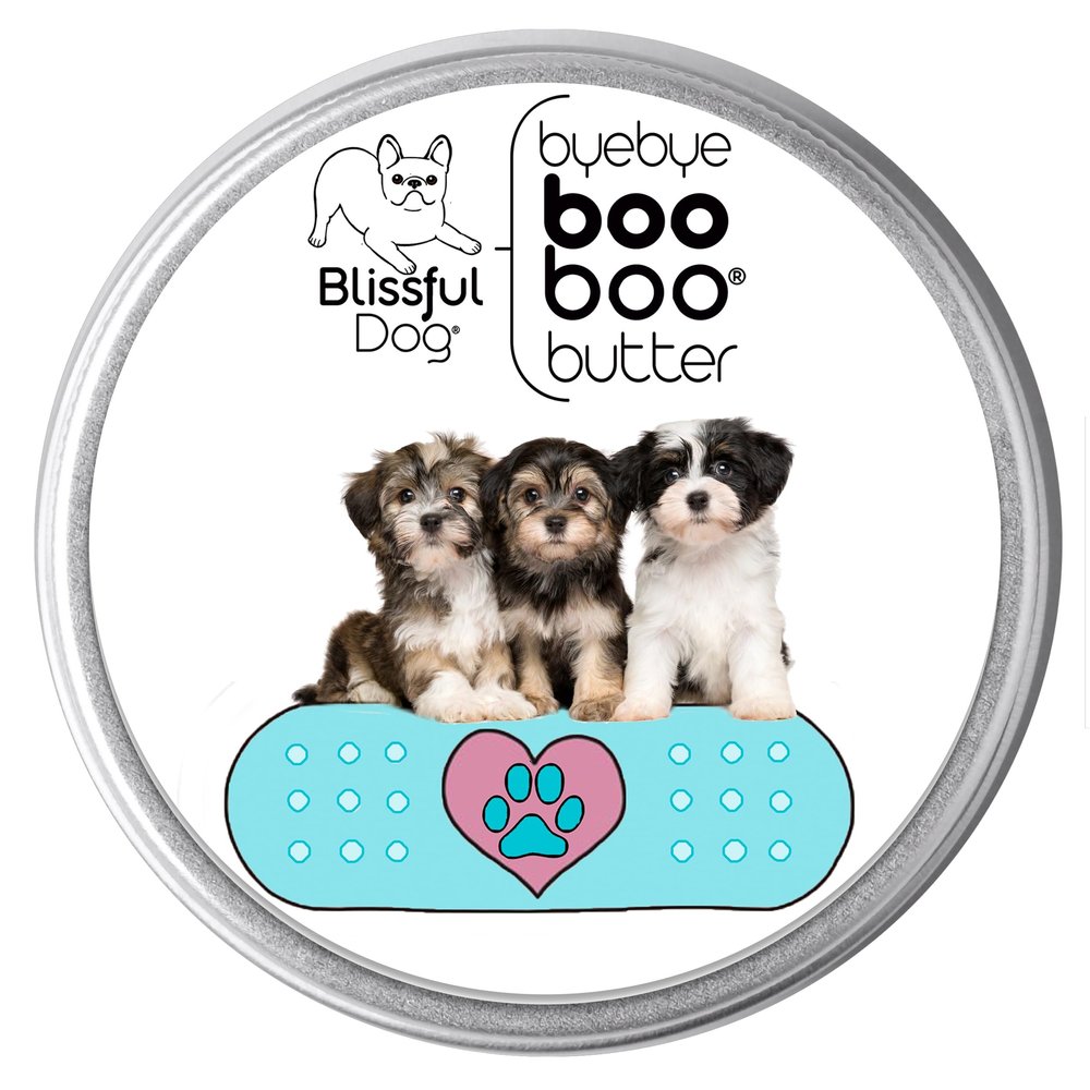 The Blissful Dog Havanese Boo Boo Butter, 1-Ounce