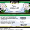 Bianca Rosa Yucca Schidigera 4:1 Cream (2 oz, ZIN: 521721) - 2 Pack view 3