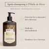 Arganicare | Castor Range | RECONSTRUCTIVE CONDITIONER | Castor | Promotes Growth & Stimulates Growth | Ultra-Nourishing | High Hydration | All hair types | 13.53 fl oz view 3