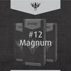 Precision Needles, Tattoo Needles #12 (0.35mm) Standard Magnum 2mm Long Taper, 21 Point Model 1221M1, Box of 50 view 1