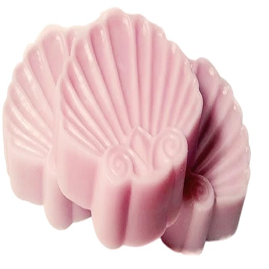 3pc Gift Set Shell Shaped Soaps - Carnation Scent Shea Butter Goat Milk Soap