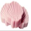 3pc Gift Set Shell Shaped Soaps - Carnation Scent Shea Butter Goat Milk Soap view 1