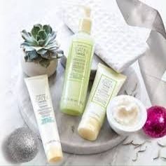 Marykay Silk Hands Set Satin Hands White Tea & Citrus