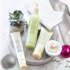 Marykay Silk Hands Set Satin Hands White Tea & Citrus