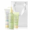 Marykay Silk Hands Set Satin Hands White Tea & Citrus view 2