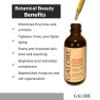 Rosehip Anti-Aging Face Oil Treatment - Anti-Wrinkle Serum, Natural Anti-Aging Oil rich in Vitamins E, A & C & Essential oils - Pure Rose Oil for Wrinkles, Age spots & Fine Lines - GALORE Naturals view 2