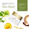 Borghese Radiante Renew & Restore Night Creme - Hydrating Barrier Night Cream with Castor Oil, Shea Butter, & Vitamin B3, for All Skin Types view 4