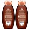 Garnier Whole Blends Smoothing Shampoo with Coconut Oil & Cocoa Butter Extracts, 12.5 Fl Oz (Packaging May Vary), 2 Count view 2