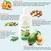 Oily Hair Treatment Shampoo for Greasy Hair | Clarifying Shampoo For Oily Scalp And Oily Hair Care | Regulating Extra Sebum | Deep Cleansing Shampoo Build Up With Natural Ingredients, 13.5Oz view 2