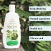 Oily Hair Treatment Shampoo for Greasy Hair | Clarifying Shampoo For Oily Scalp And Oily Hair Care | Regulating Extra Sebum | Deep Cleansing Shampoo Build Up With Natural Ingredients, 13.5Oz view 3