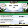 Bianca Rosa Black Currant Leaf Cream (2 oz, ZIN: 523891) - 3 Pack view 3